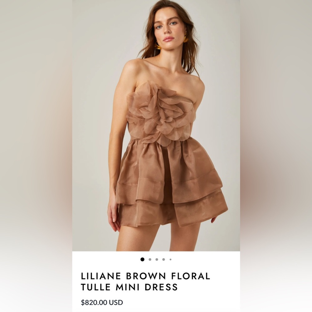 Liliane brown floral tulle mini dress
